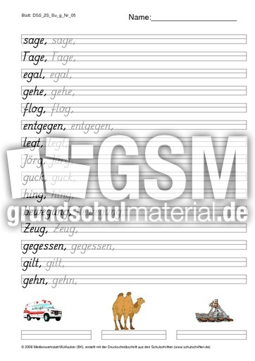 DSS_2S_Bu_g_Nr_05.pdf
